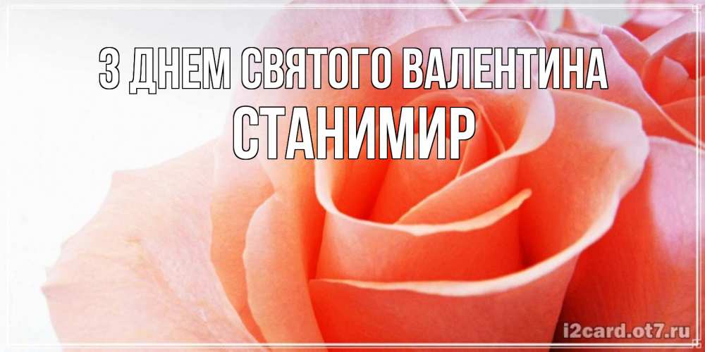 Открытка на каждый день з підписом, Станимир З Днем Святого Валентина открытка на день Святого Валентина с розовой розой Прикольна листівка з побажанням онлайн скачати безкоштовно 