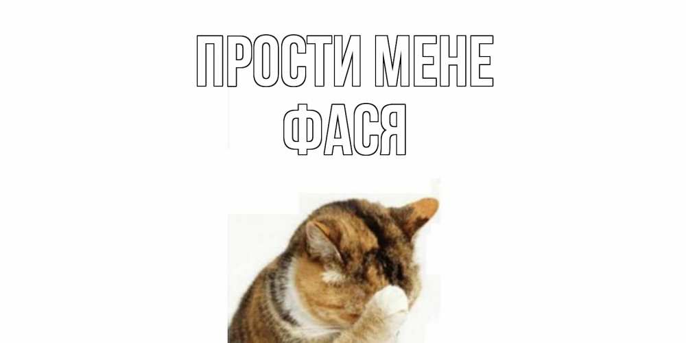 Открытка на каждый день з підписом, Фася Прости мене кот Прикольна листівка з побажанням онлайн скачати безкоштовно 