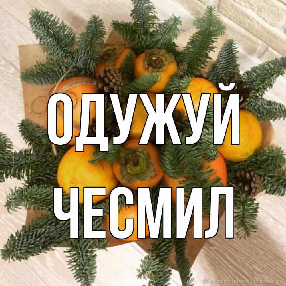 Открытка на каждый день з підписом, Чесмил Одужуй апельсины и хурьма Прикольна листівка з побажанням онлайн скачати безкоштовно 