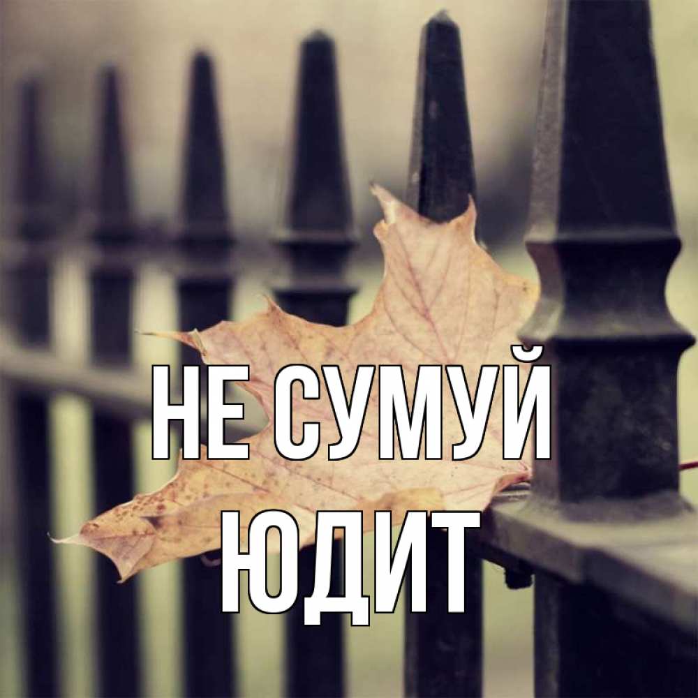 Открытка на каждый день з підписом, Юдит Не сумуй лист клена Прикольна листівка з побажанням онлайн скачати безкоштовно 