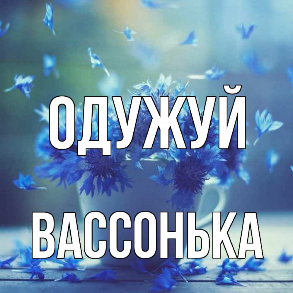 Открытка на каждый день з підписом, Вассонька Одужуй кружка с зельем и цветами Прикольна листівка з побажанням онлайн скачати безкоштовно 