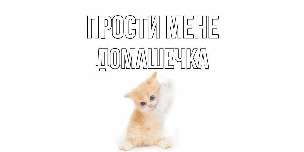 Открытка на каждый день з підписом, Домашечка Прости мене кот Прикольна листівка з побажанням онлайн скачати безкоштовно 