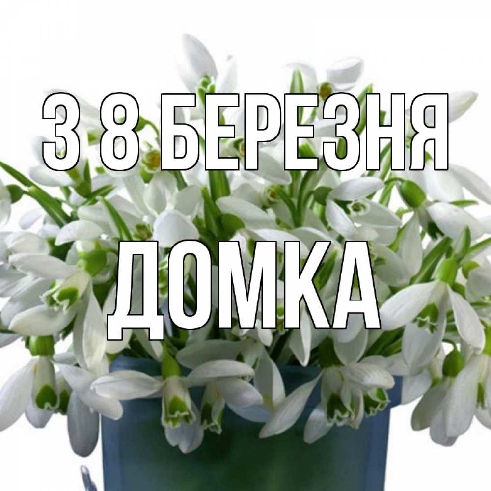 Открытка на каждый день з підписом, Домка З 8 БЕРЕЗНЯ цветы к международному женскому дню Прикольна листівка з побажанням онлайн скачати безкоштовно 