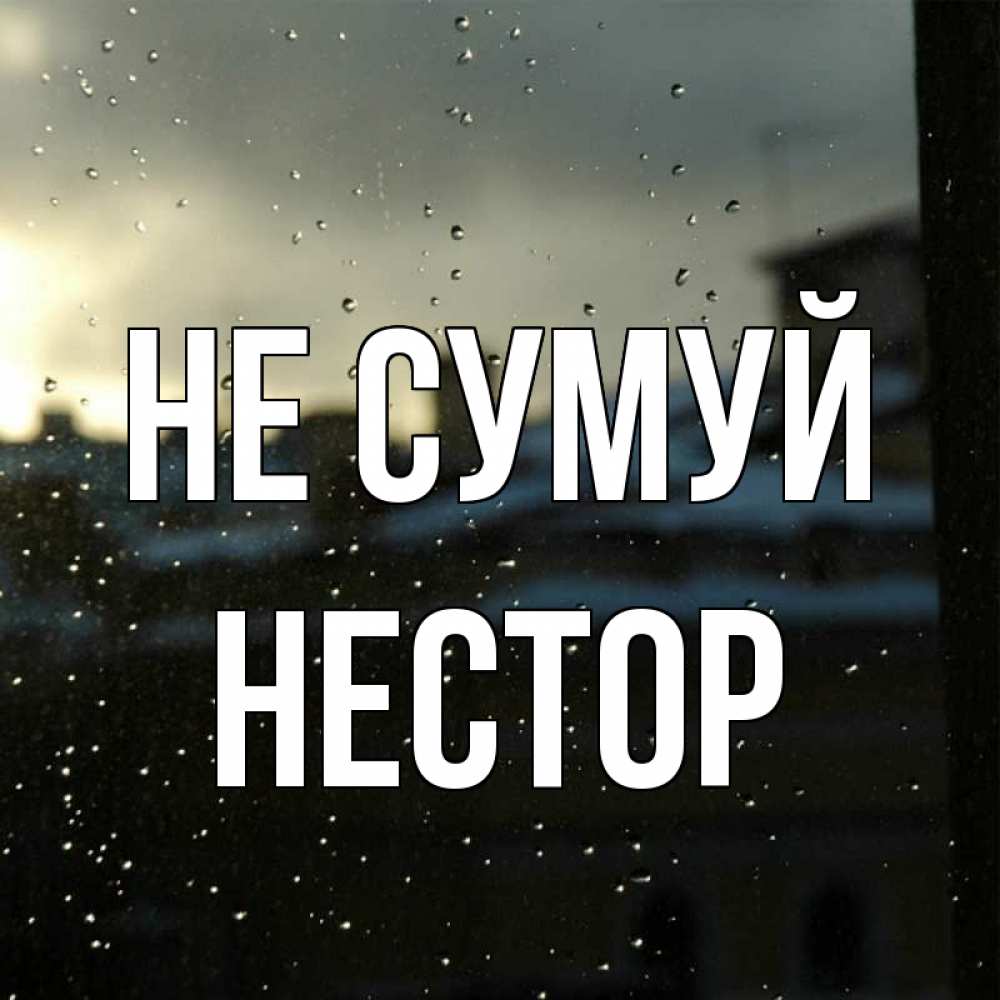 Открытка на каждый день з підписом, Нестор Не сумуй вид на крыши Прикольна листівка з побажанням онлайн скачати безкоштовно 
