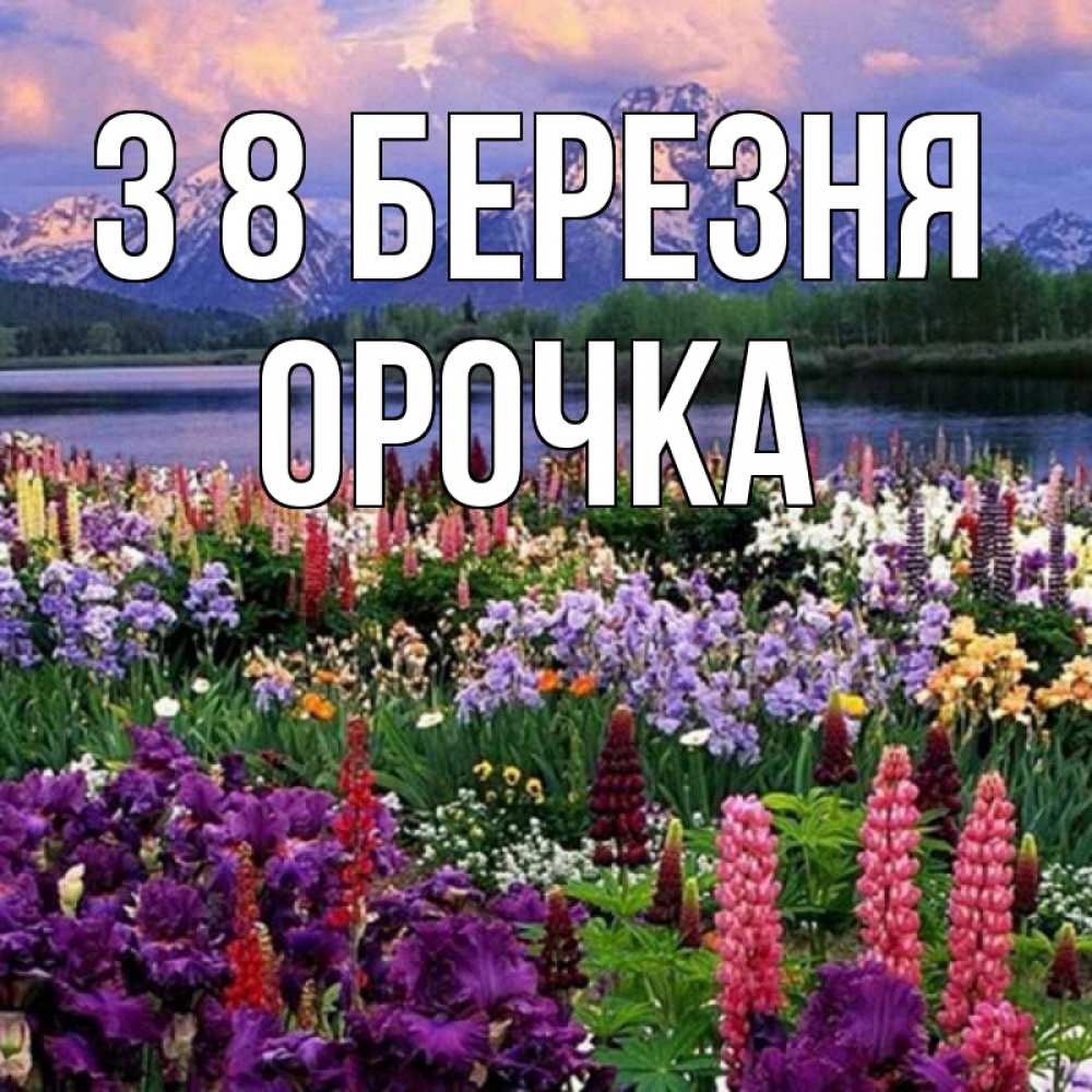 Открытка на каждый день з підписом, Орочка З 8 БЕРЕЗНЯ международный женский день Прикольна листівка з побажанням онлайн скачати безкоштовно 