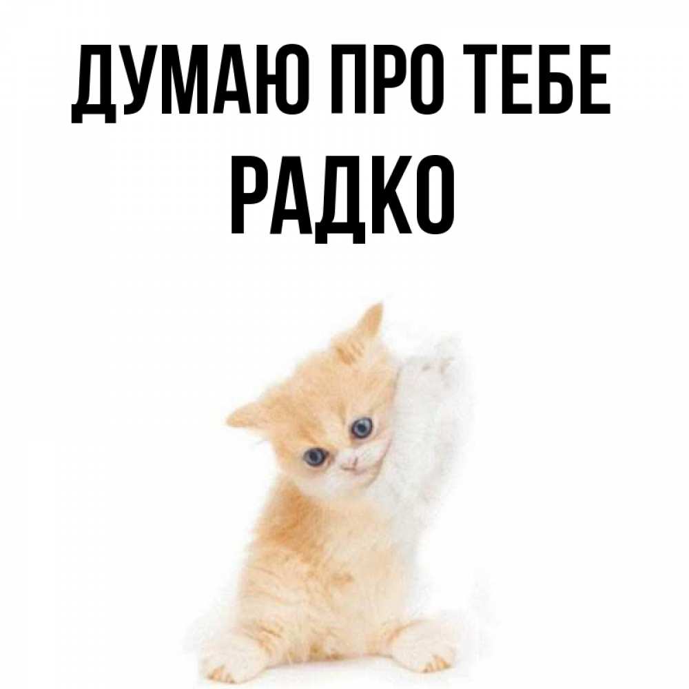 Открытка на каждый день з підписом, Радко Думаю про тебе зверушки и милота Прикольна листівка з побажанням онлайн скачати безкоштовно 