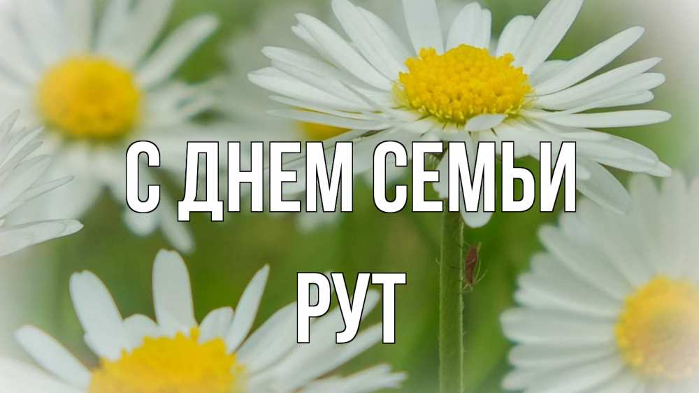 Открытка на каждый день з підписом, Рут С днем семьи с днем семьи  1 Прикольна листівка з побажанням онлайн скачати безкоштовно 
