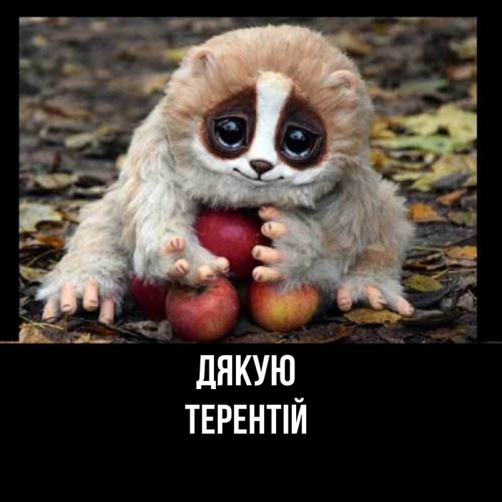 Открытка на каждый день з підписом, Терентій Дякую прикольное животное Прикольна листівка з побажанням онлайн скачати безкоштовно 