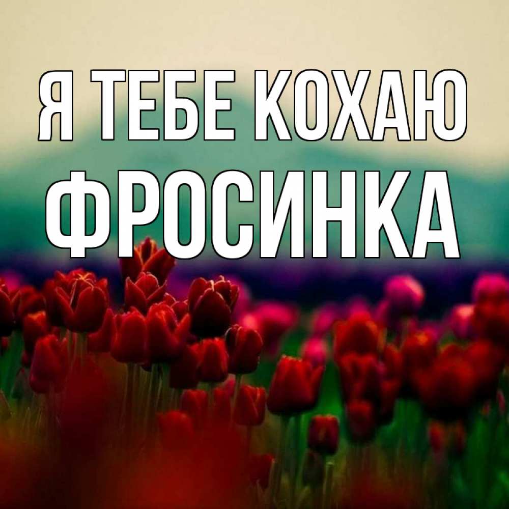 Открытка на каждый день з підписом, Фросинка Я тебе кохаю тюльпаны 4 Прикольна листівка з побажанням онлайн скачати безкоштовно 