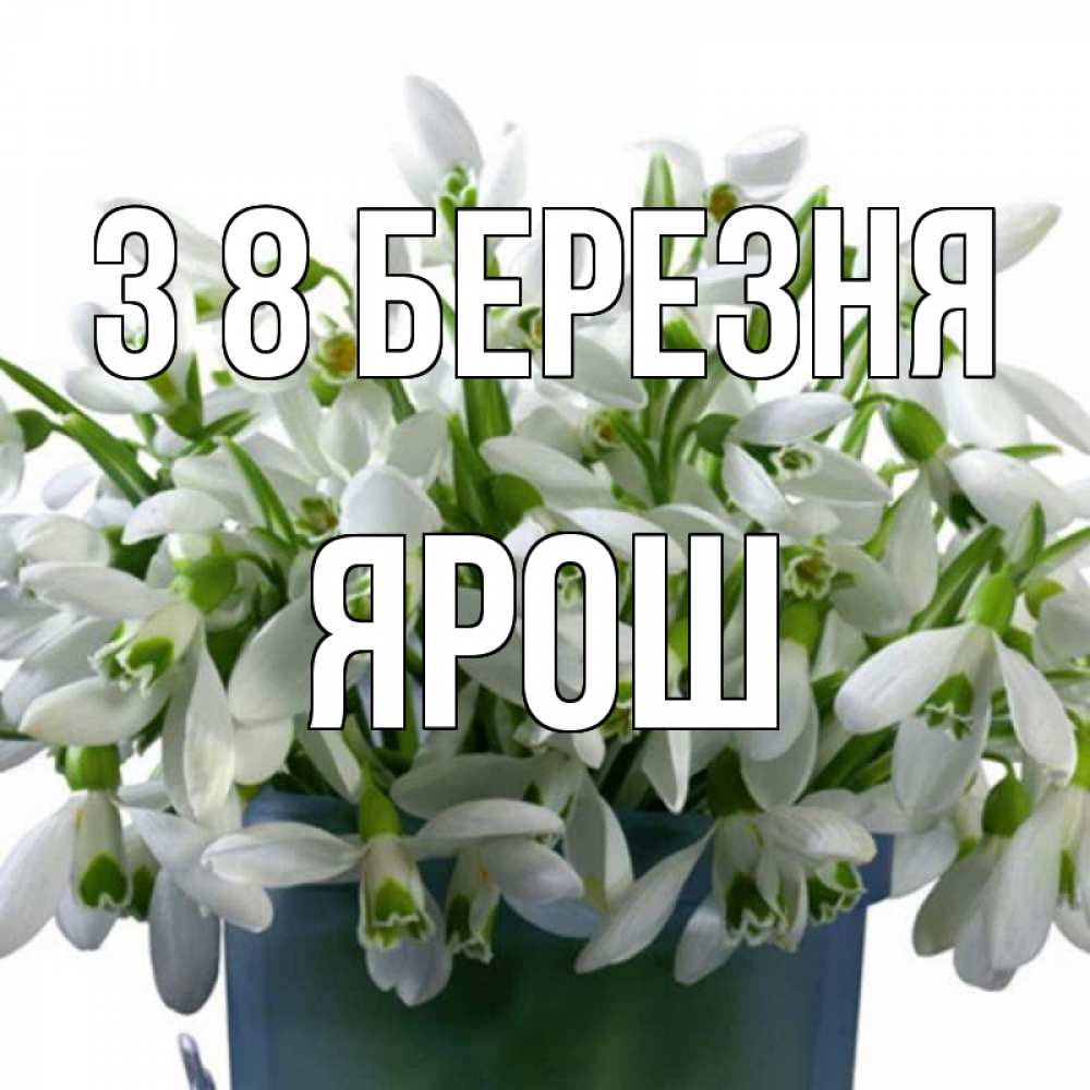 Открытка на каждый день з підписом, Ярош З 8 БЕРЕЗНЯ цветы к международному женскому дню Прикольна листівка з побажанням онлайн скачати безкоштовно 