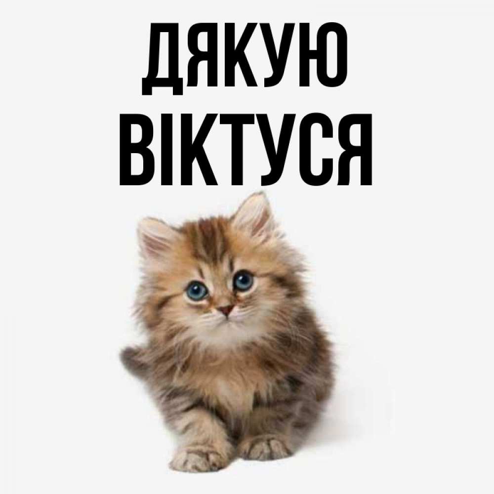 Открытка на каждый день з підписом, Віктуся Дякую пушистый котик Прикольна листівка з побажанням онлайн скачати безкоштовно 