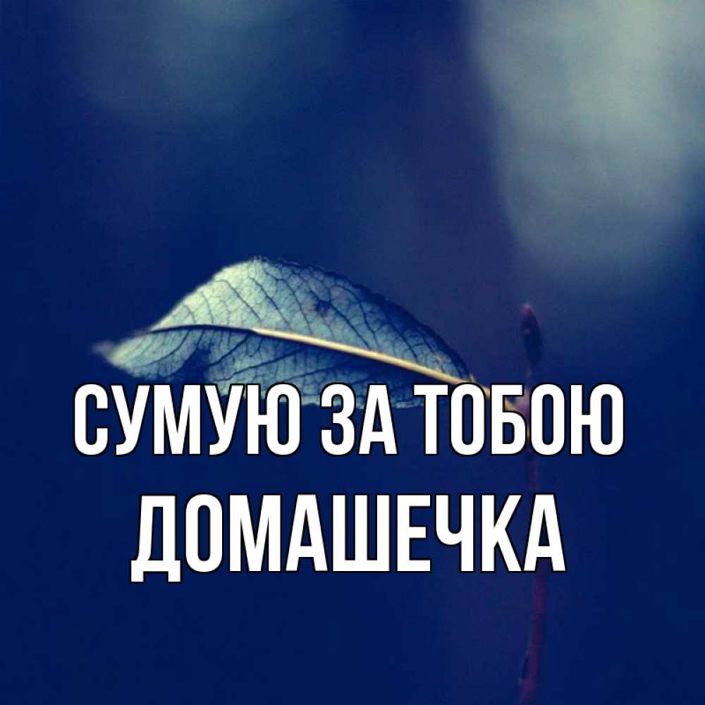Открытка на каждый день з підписом, Домашечка Сумую за тобою одна ветка 1 Прикольна листівка з побажанням онлайн скачати безкоштовно 