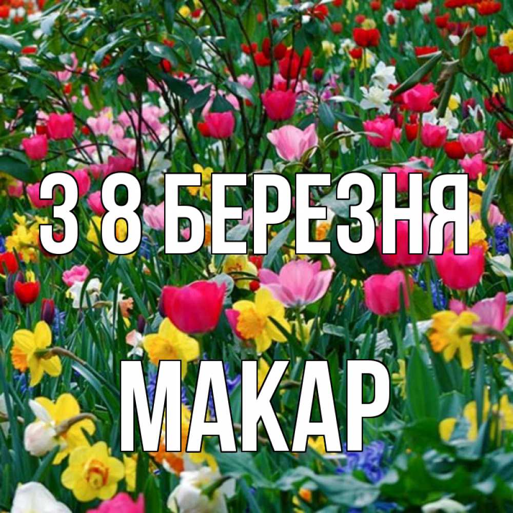 Открытка на каждый день з підписом, Макар З 8 БЕРЕЗНЯ с международным женским днем поздравления для женщины Прикольна листівка з побажанням онлайн скачати безкоштовно 
