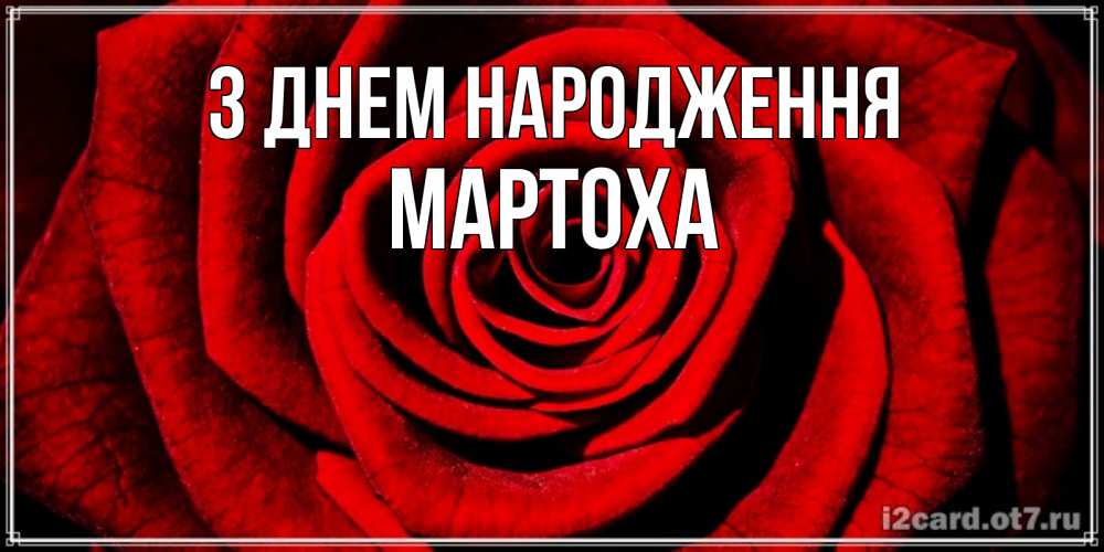 Открытка на каждый день з підписом, Мартоха З Днем народження алая роза Прикольна листівка з побажанням онлайн скачати безкоштовно 