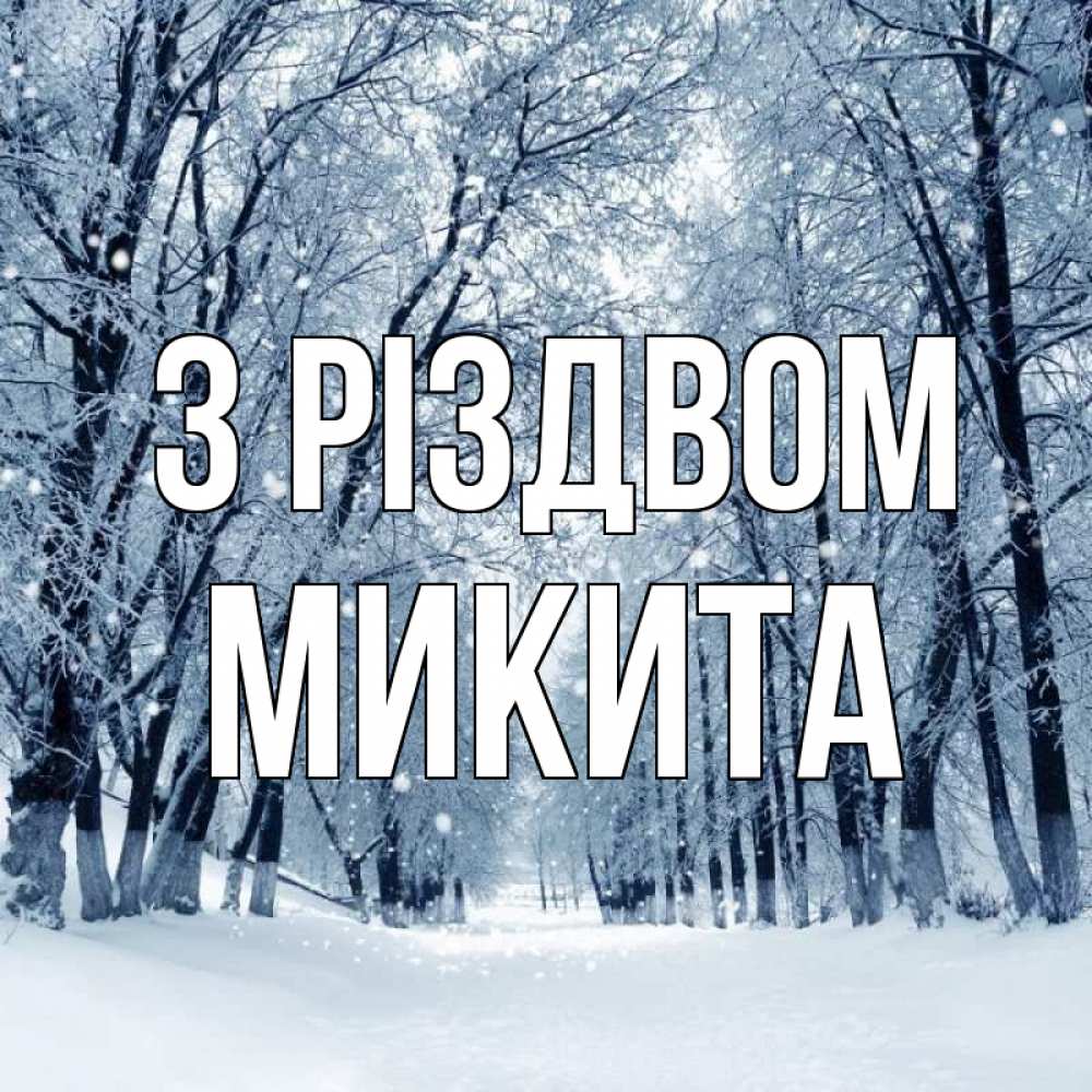 Открытка на каждый день з підписом, Микита З Різдвом снег, лес, парк Прикольна листівка з побажанням онлайн скачати безкоштовно 