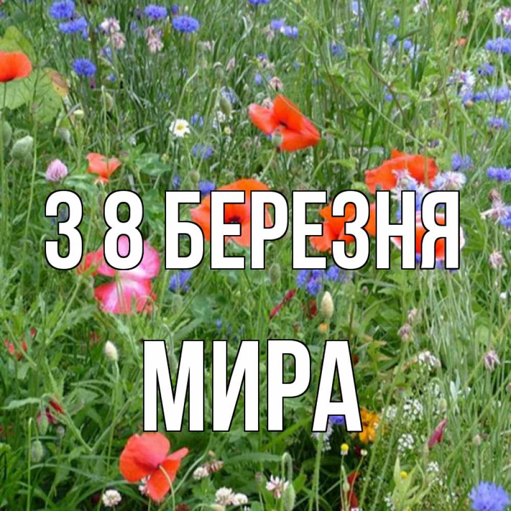 Открытка на каждый день з підписом, Мира З 8 БЕРЕЗНЯ международный женский день 4 Прикольна листівка з побажанням онлайн скачати безкоштовно 
