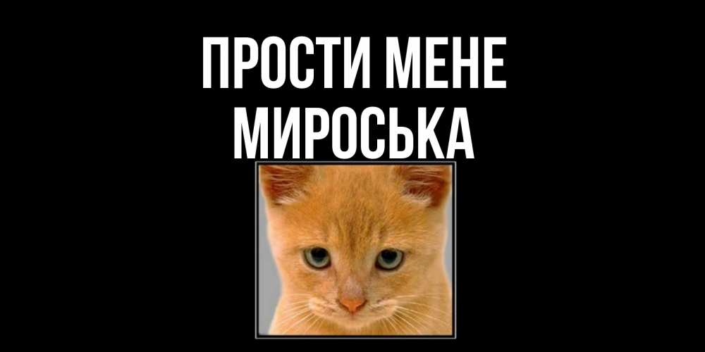 Открытка на каждый день з підписом, Мироська Прости мене рыжий грустный кот просит прощения Прикольна листівка з побажанням онлайн скачати безкоштовно 