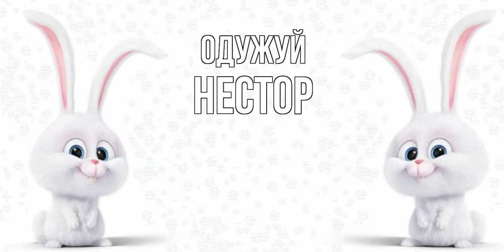 Открытка на каждый день з підписом, Нестор Одужуй не болей с зайцем Прикольна листівка з побажанням онлайн скачати безкоштовно 