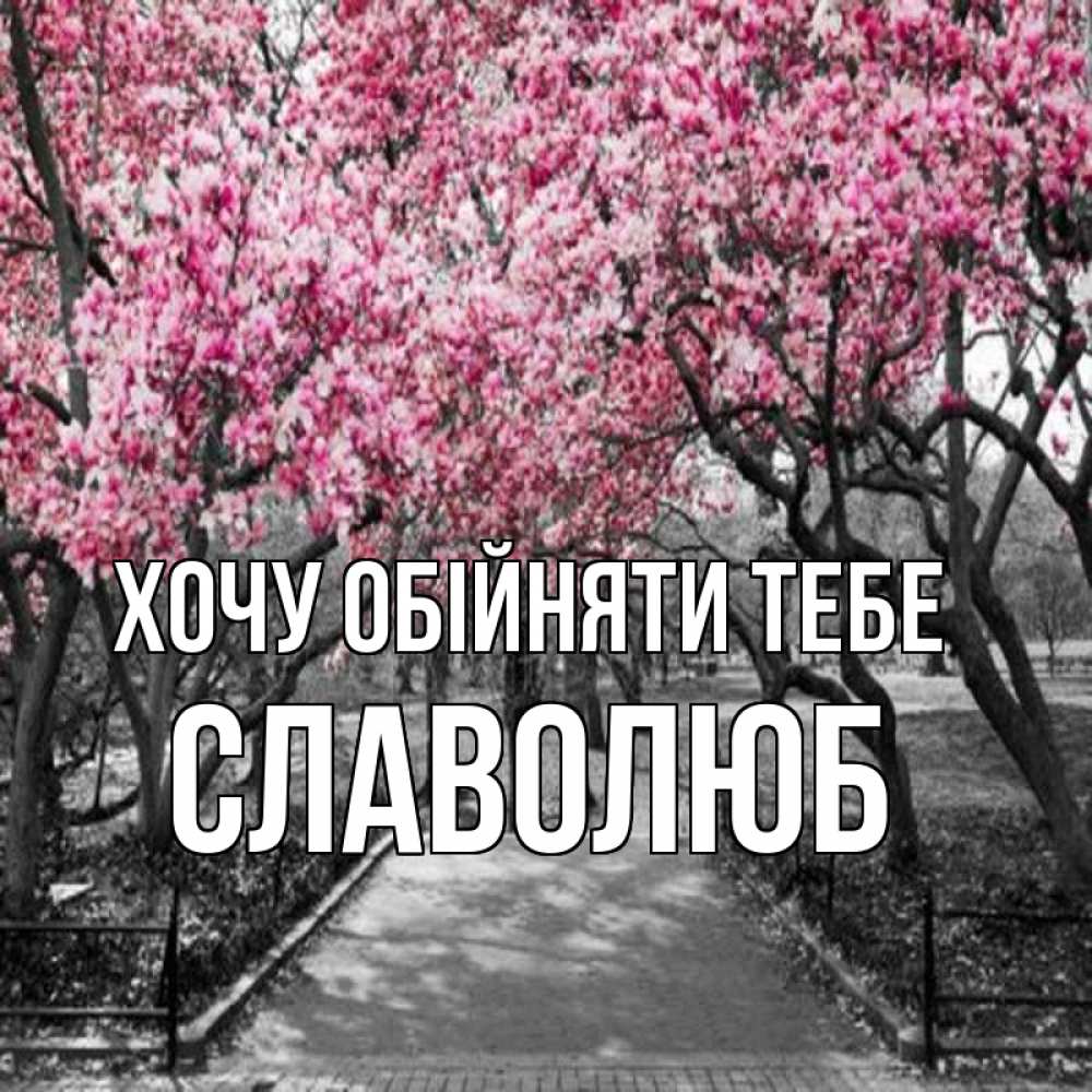 Открытка на каждый день з підписом, Славолюб Хочу обійняти тебе обработанное фото Прикольна листівка з побажанням онлайн скачати безкоштовно 