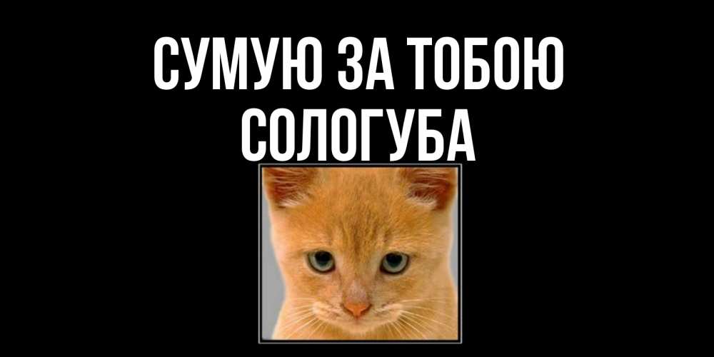 Открытка на каждый день з підписом, Сологуба Сумую за тобою открытки рыжий котенок скучает по тебе Прикольна листівка з побажанням онлайн скачати безкоштовно 