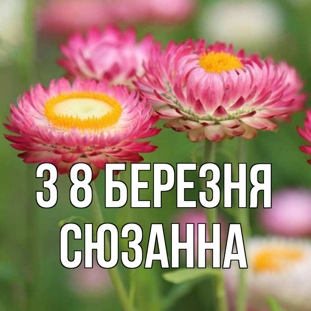 Открытка на каждый день з підписом, Сюзанна З 8 БЕРЕЗНЯ подарок на международный женский день Прикольна листівка з побажанням онлайн скачати безкоштовно 
