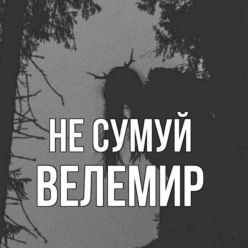 Открытка на каждый день з підписом, Велемир Не сумуй чудище лесное Прикольна листівка з побажанням онлайн скачати безкоштовно 