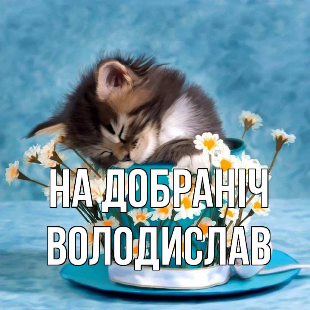 Открытка на каждый день з підписом, Володислав На добраніч котенок спит в кружке с блюдцем Прикольна листівка з побажанням онлайн скачати безкоштовно 