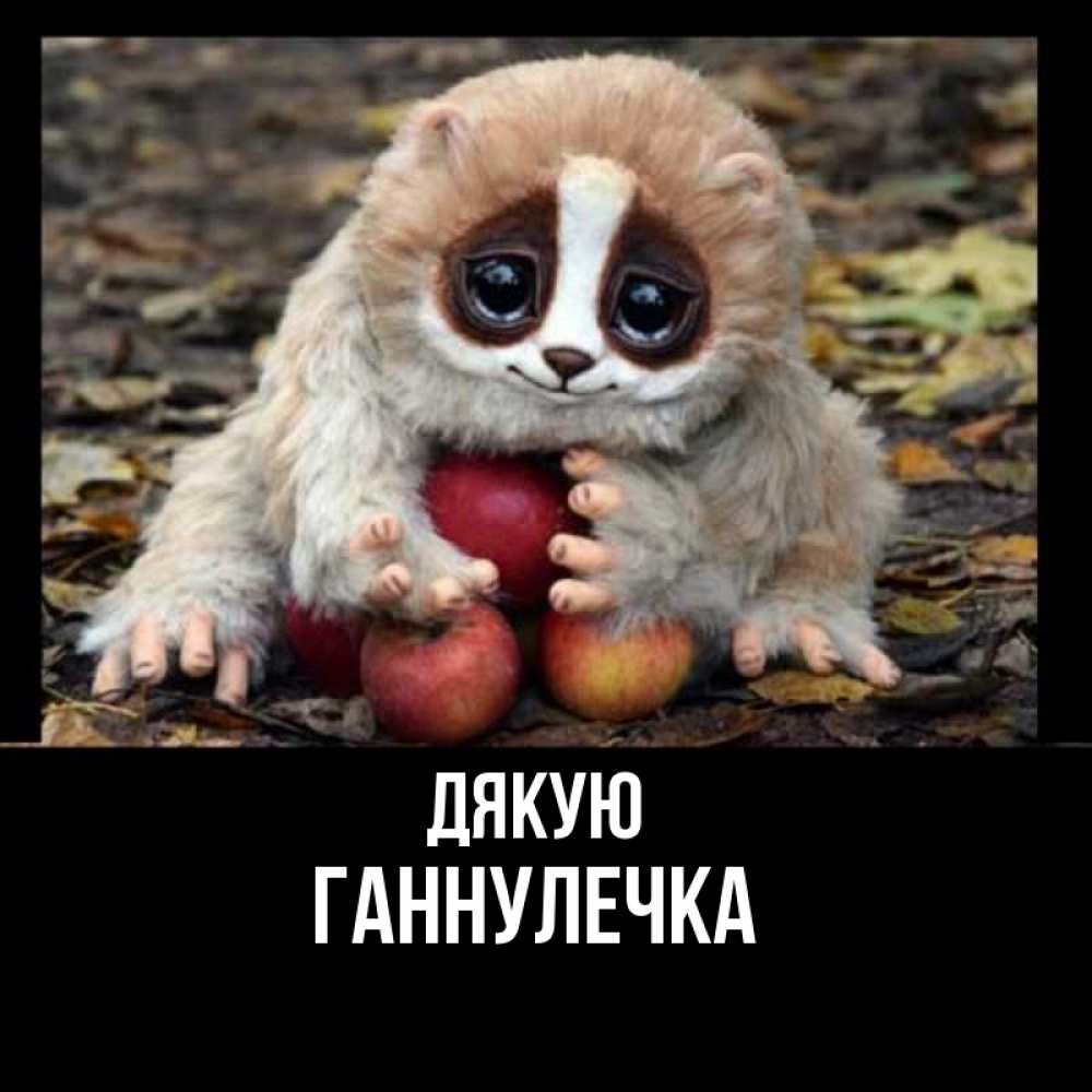 Открытка на каждый день з підписом, Ганнулечка Дякую прикольное животное Прикольна листівка з побажанням онлайн скачати безкоштовно 