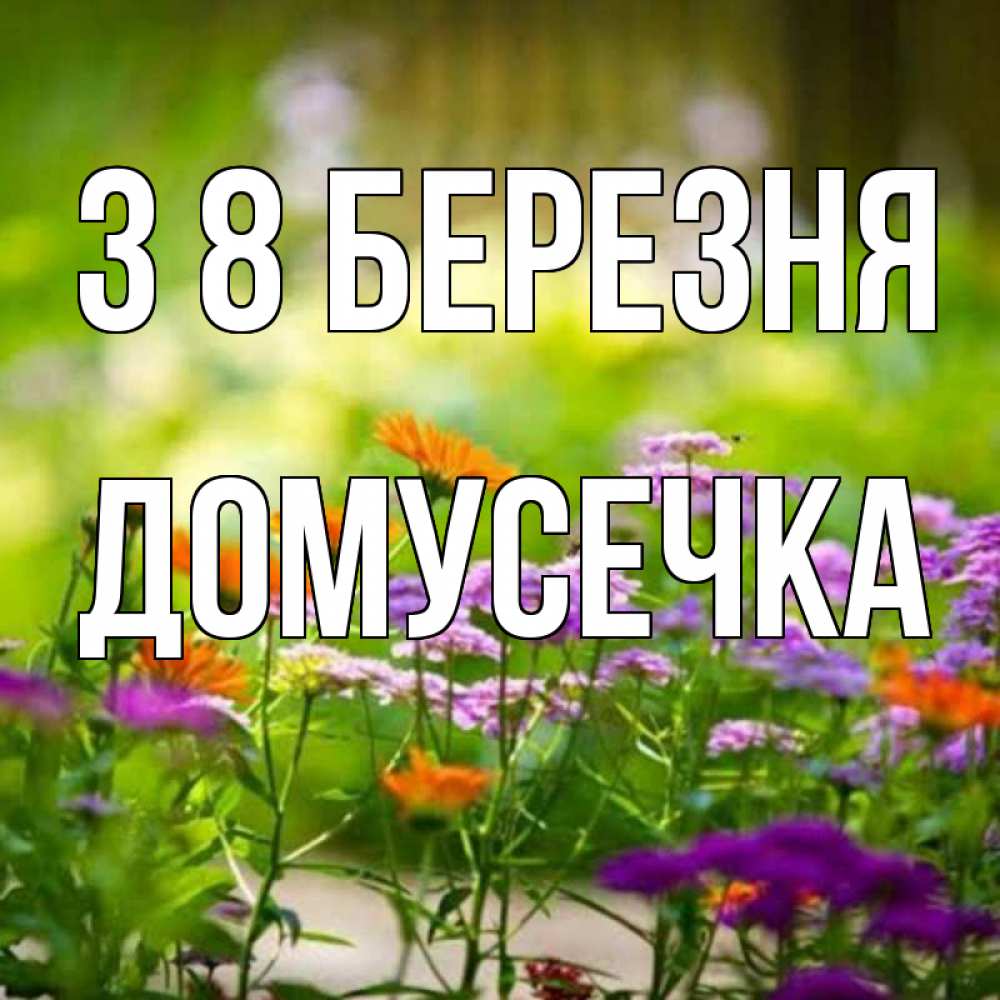 Открытка на каждый день з підписом, Домусечка З 8 БЕРЕЗНЯ цветы Прикольна листівка з побажанням онлайн скачати безкоштовно 