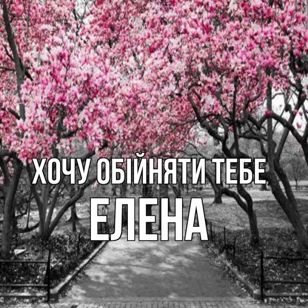 Открытка на каждый день з підписом, Елена Хочу обійняти тебе обработанное фото Прикольна листівка з побажанням онлайн скачати безкоштовно 