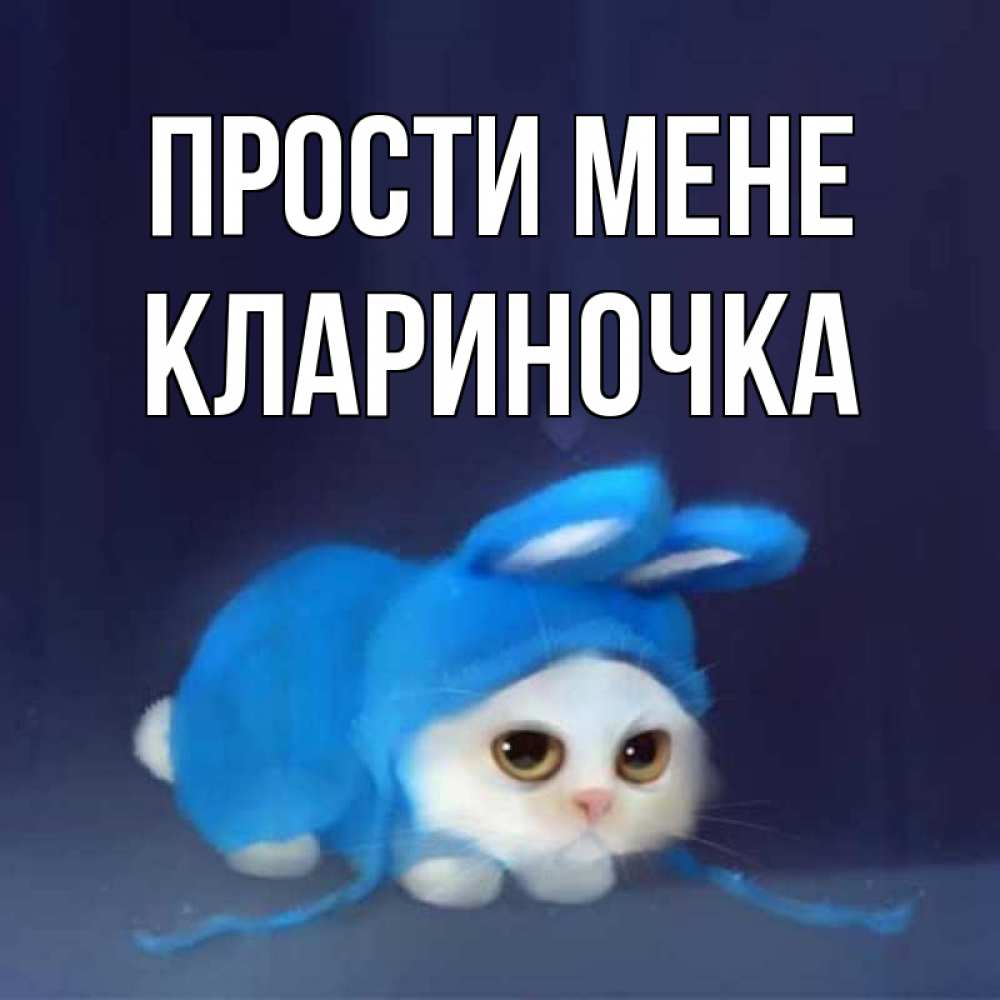 Открытка на каждый день з підписом, Клариночка Прости мене невинный котозай просит прощения Прикольна листівка з побажанням онлайн скачати безкоштовно 