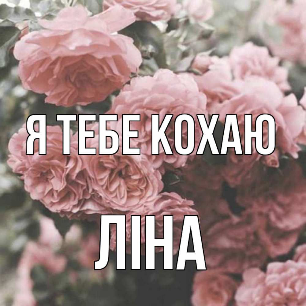 Открытка на каждый день з підписом, Ліна Я тебе кохаю розы 3 Прикольна листівка з побажанням онлайн скачати безкоштовно 