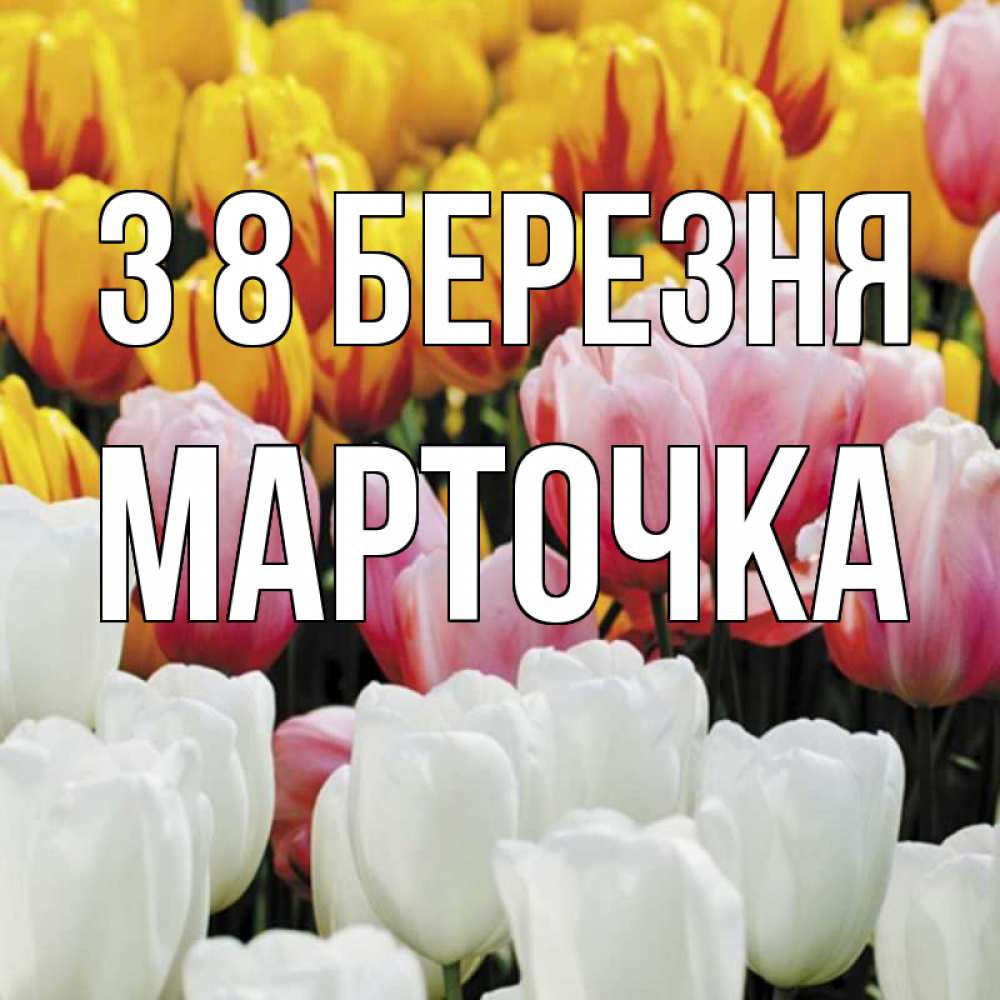 Открытка на каждый день з підписом, Марточка З 8 БЕРЕЗНЯ разноцветные цветы Прикольна листівка з побажанням онлайн скачати безкоштовно 