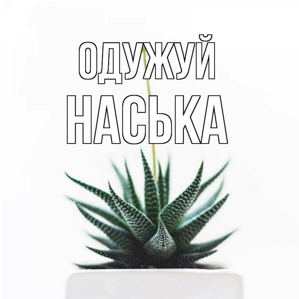 Открытка на каждый день з підписом, Наська Одужуй короче это непонятная колючка Прикольна листівка з побажанням онлайн скачати безкоштовно 