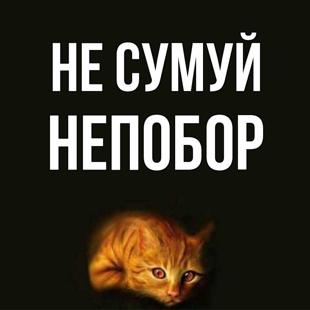 Открытка на каждый день з підписом, Непобор Не сумуй лежащий кот в темноте Прикольна листівка з побажанням онлайн скачати безкоштовно 