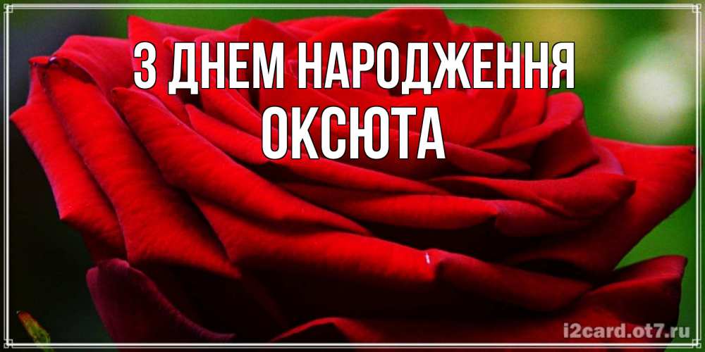 Открытка на каждый день з підписом, Оксюта З Днем народження розочка очень красивая Прикольна листівка з побажанням онлайн скачати безкоштовно 