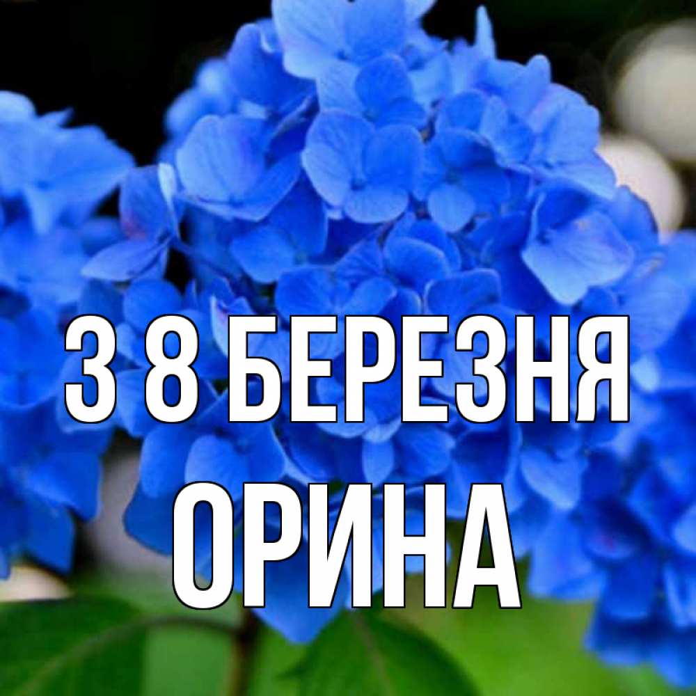 Открытка на каждый день з підписом, Орина З 8 БЕРЕЗНЯ синие цветы Прикольна листівка з побажанням онлайн скачати безкоштовно 