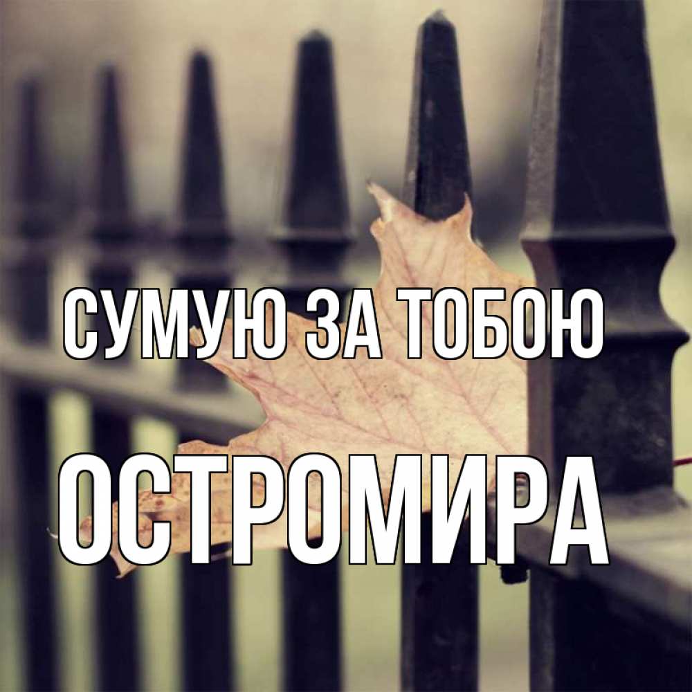Открытка на каждый день з підписом, Остромира Сумую за тобою очень скучно Прикольна листівка з побажанням онлайн скачати безкоштовно 