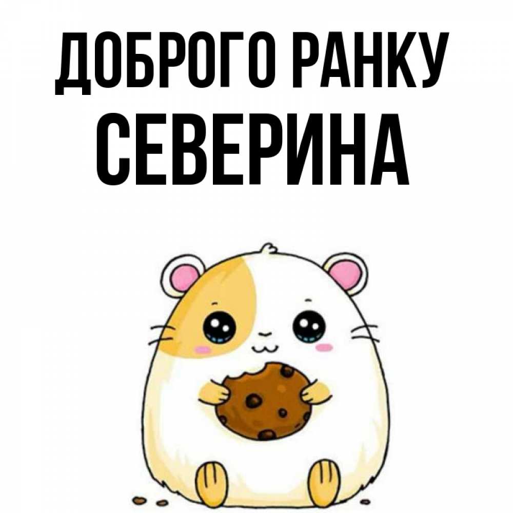 Открытка на каждый день з підписом, Северина Доброго ранку есть печеньку. Утречко Прикольна листівка з побажанням онлайн скачати безкоштовно 