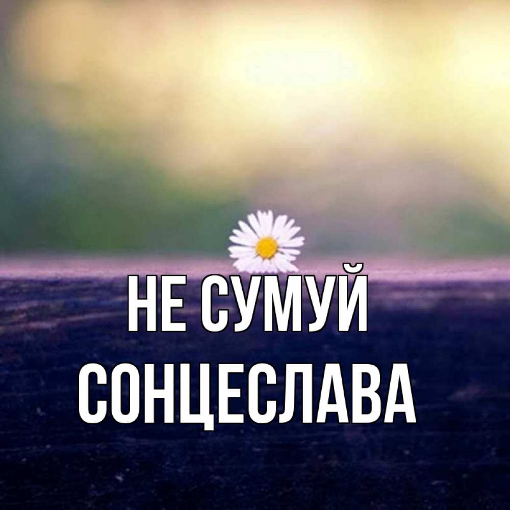 Открытка на каждый день з підписом, Сонцеслава Не сумуй красота Прикольна листівка з побажанням онлайн скачати безкоштовно 