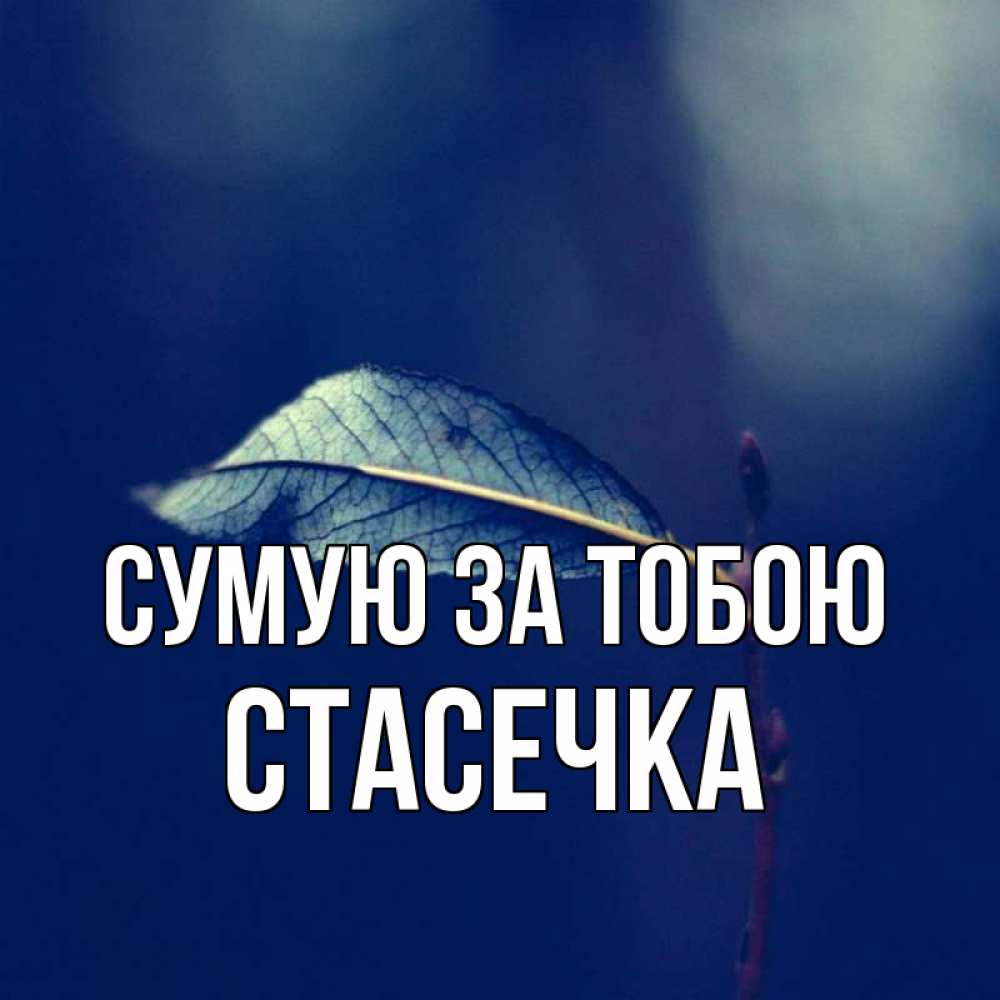 Открытка на каждый день з підписом, Стасечка Сумую за тобою одна ветка 1 Прикольна листівка з побажанням онлайн скачати безкоштовно 