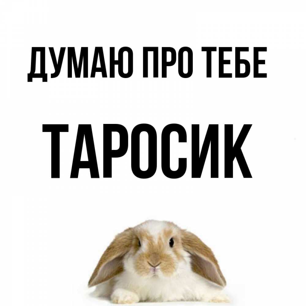 Открытка на каждый день з підписом, Таросик Думаю про тебе подписать своими руками онлайн Прикольна листівка з побажанням онлайн скачати безкоштовно 