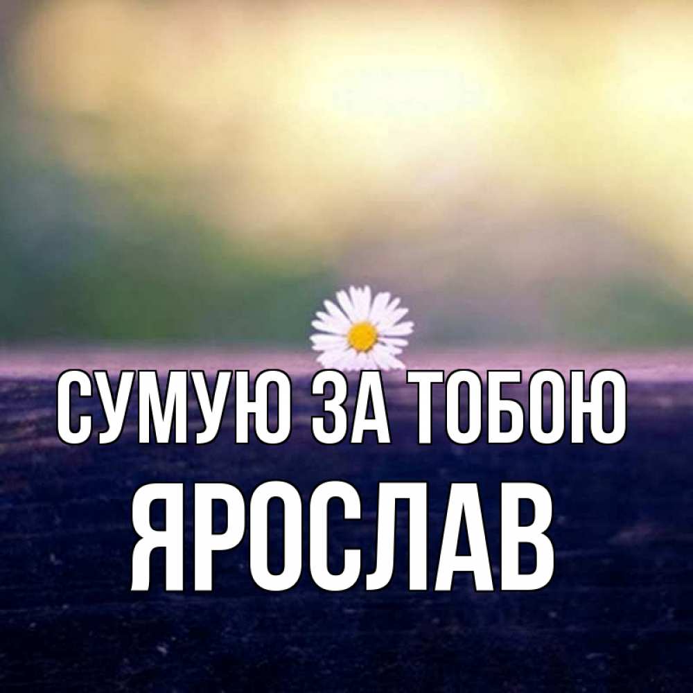 Открытка на каждый день з підписом, Ярослав Сумую за тобою приходи в гости Прикольна листівка з побажанням онлайн скачати безкоштовно 
