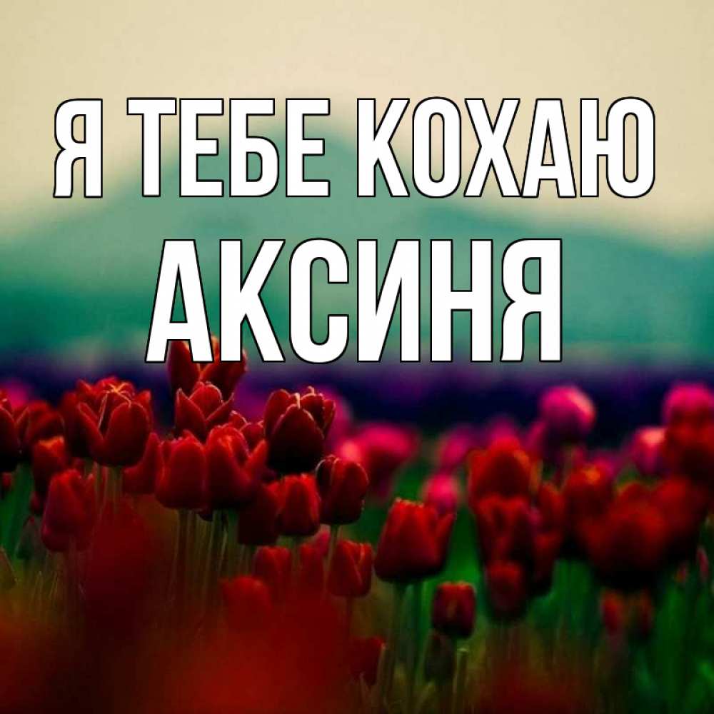 Открытка на каждый день з підписом, Аксиня Я тебе кохаю тюльпаны 4 Прикольна листівка з побажанням онлайн скачати безкоштовно 
