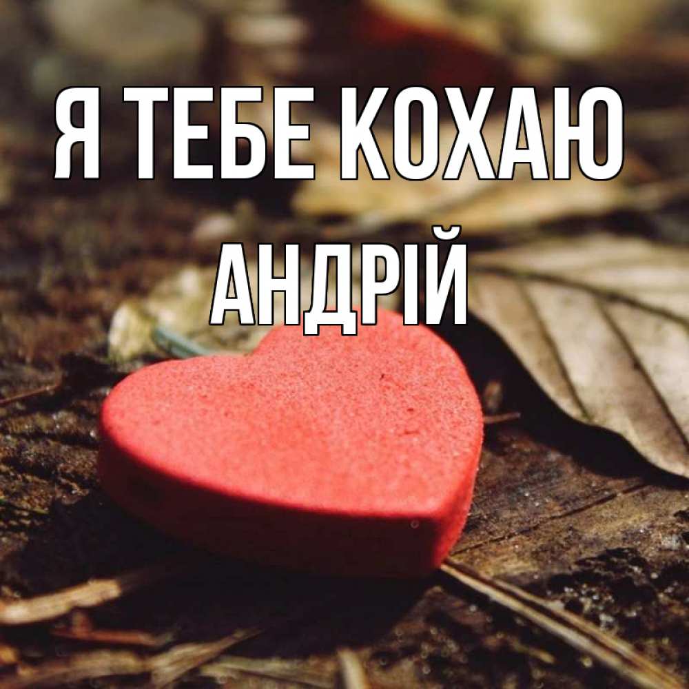 Открытка на каждый день з підписом, Андрій Я тебе кохаю листья деревье 4 Прикольна листівка з побажанням онлайн скачати безкоштовно 
