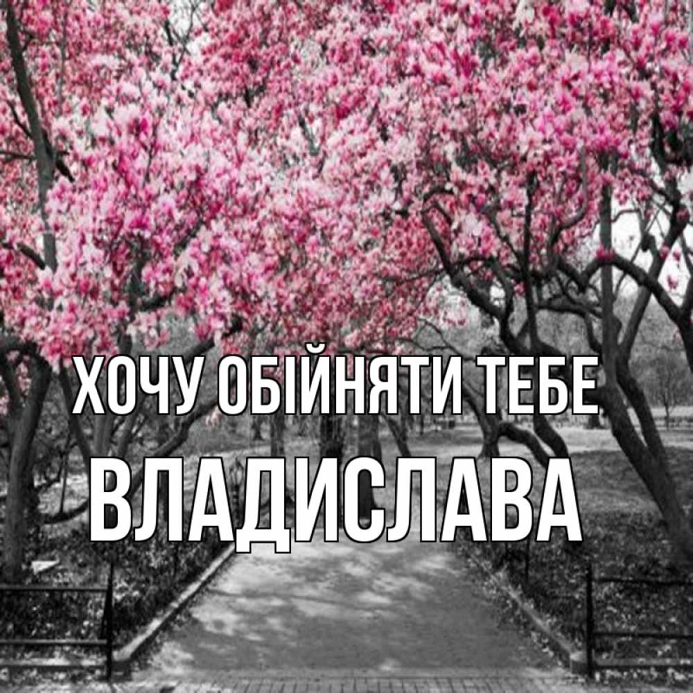 Открытка на каждый день з підписом, Владислава Хочу обійняти тебе обработанное фото Прикольна листівка з побажанням онлайн скачати безкоштовно 