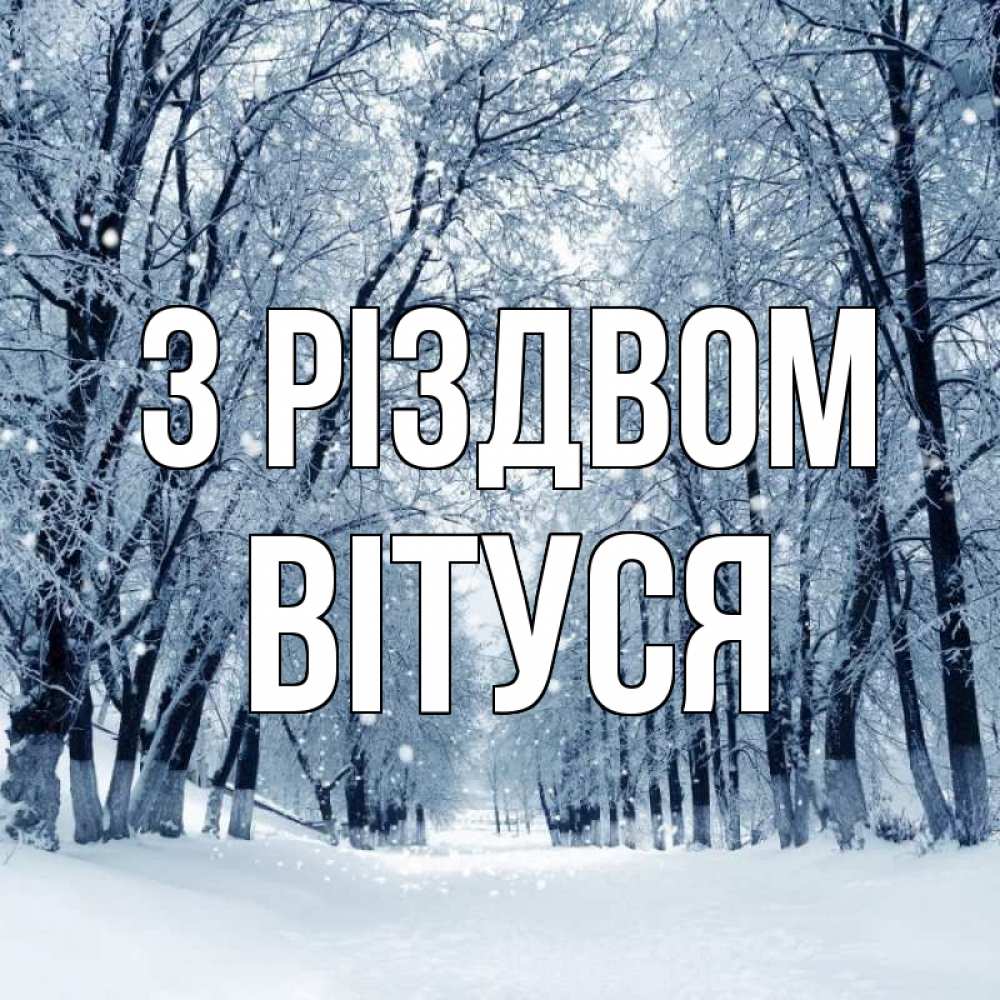 Открытка на каждый день з підписом, Вітуся З Різдвом снег, лес, парк Прикольна листівка з побажанням онлайн скачати безкоштовно 