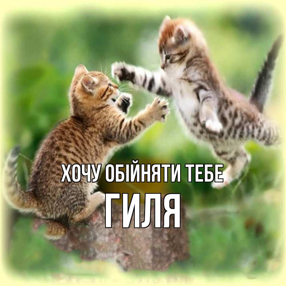 Открытка на каждый день з підписом, Гиля Хочу обійняти тебе игры котят Прикольна листівка з побажанням онлайн скачати безкоштовно 