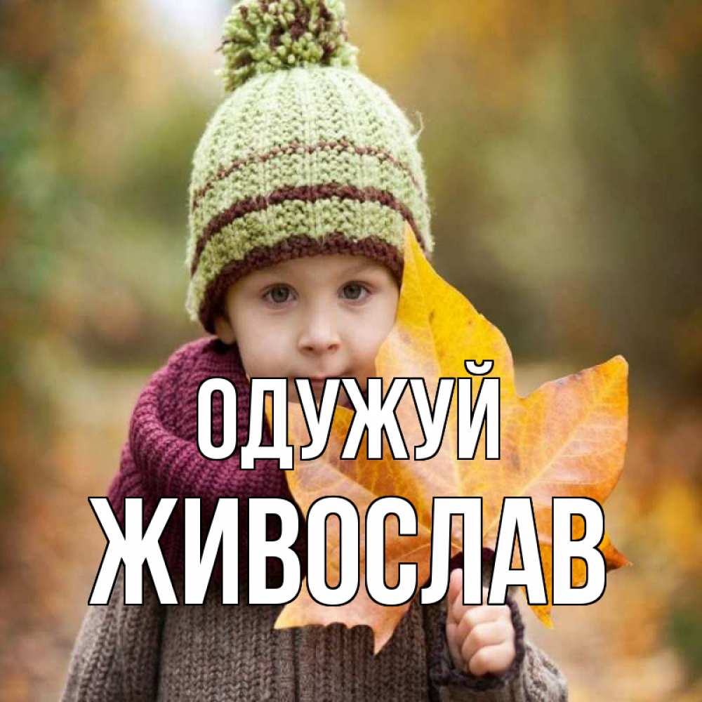 Открытка на каждый день з підписом, Живослав Одужуй дышим свежим воздухом Прикольна листівка з побажанням онлайн скачати безкоштовно 