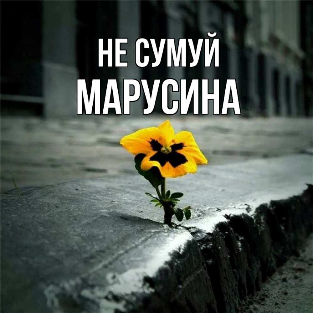 Открытка на каждый день з підписом, Марусина Не сумуй не сдавайся Прикольна листівка з побажанням онлайн скачати безкоштовно 